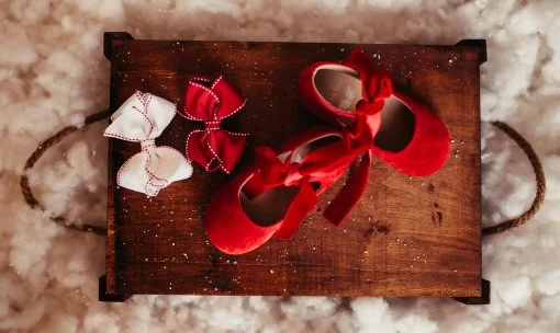 Charlotte Ballerina Flats - Image 6